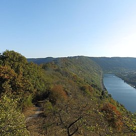 Blick Richtung Traben-Trarbach