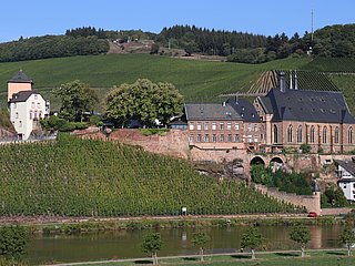Aussichtspunkt Schleif Saarburg