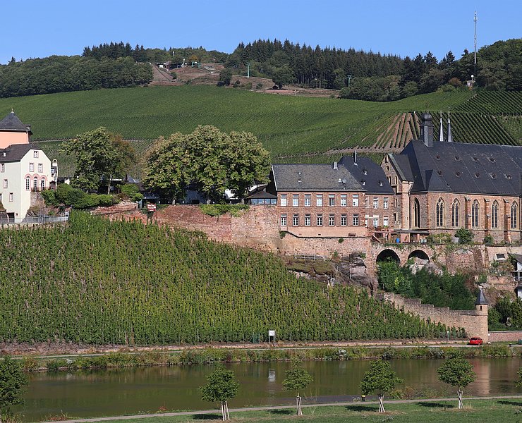 Aussichtspunkt Schleif Saarburg