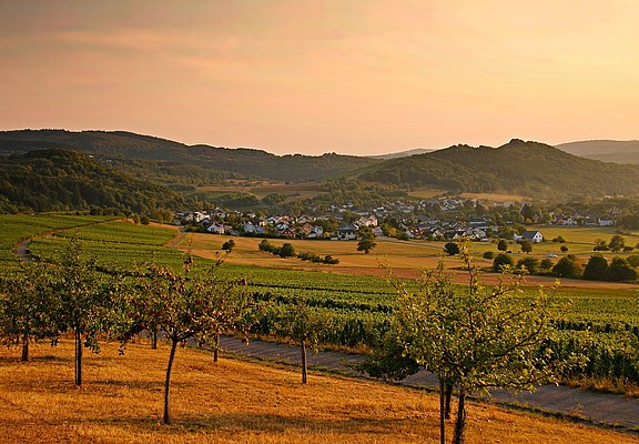 Goldene Herbststimmung im Konzer Tälchen