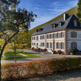 b_2026_09_05_©Cantzheim 2