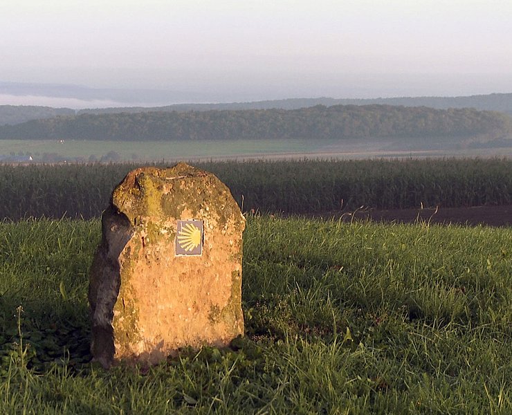 Die Jakobsmuschel weist den Weg