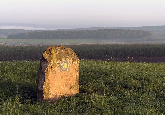 Die Jakobsmuschel weist den Weg