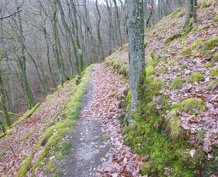 Pfad im Kautenbachtal