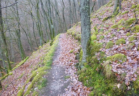 Pfad im Kautenbachtal