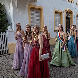 Weinstraße (4)