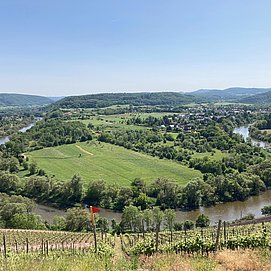 Kanuexpedition mit Naturguide (3)