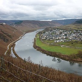 Blick von der Drieschhütte auf Pünderich und die Marienburg