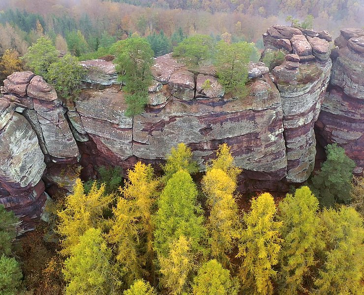 Altfels