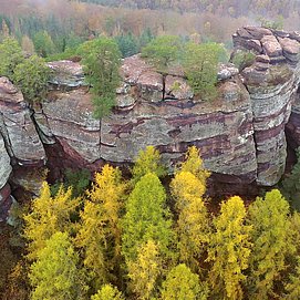 Altfels