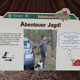 Säugetiere und Jagd (3)