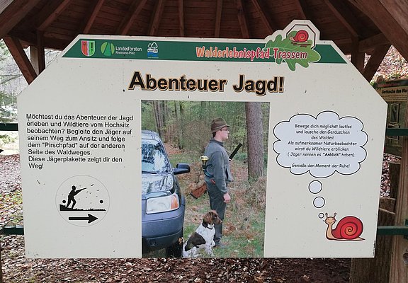 Säugetiere und Jagd (3)