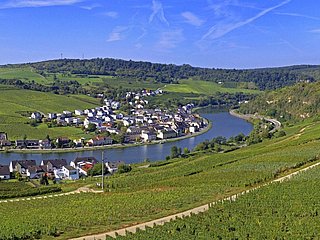 Leuchtpunkt Nitteler Fels (4)