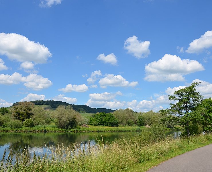 Mosel-Radweg hinter Perl