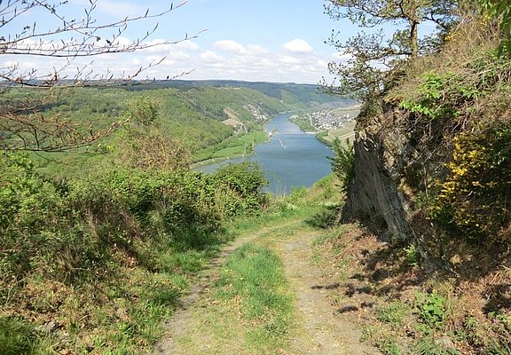 Hoch über der Mosel zwischen Starkenburg und Enkirch