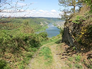 Hoch über der Mosel zwischen Starkenburg und Enkirch