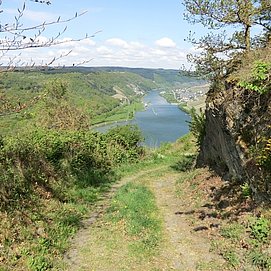 Hoch über der Mosel zwischen Starkenburg und Enkirch