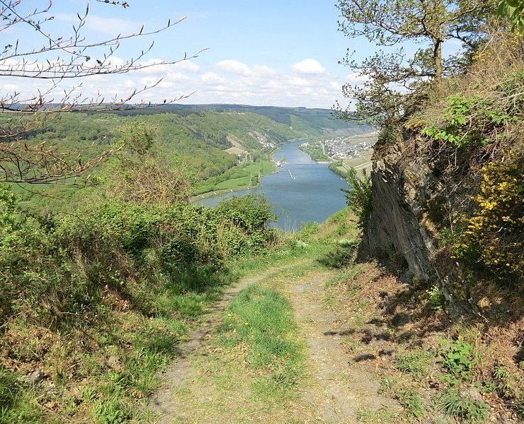 Hoch über der Mosel zwischen Starkenburg und Enkirch