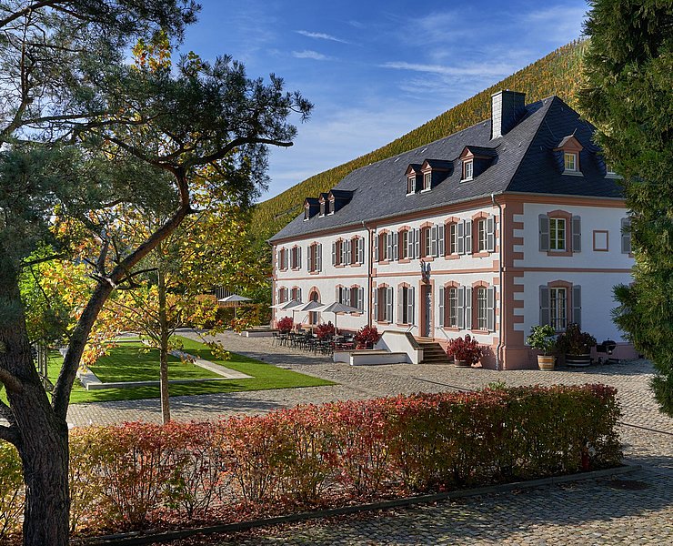 Weingut Cantzheim (5)
