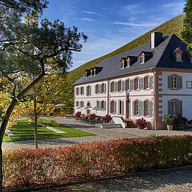 Weingut Cantzheim (5)