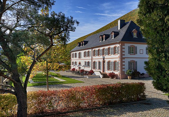 Weingut Cantzheim (5)