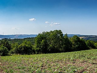 Panoramablick