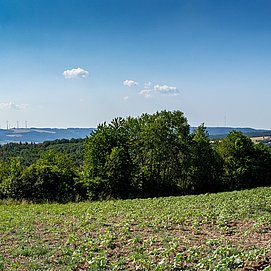Panoramablick