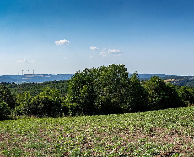 Panoramablick
