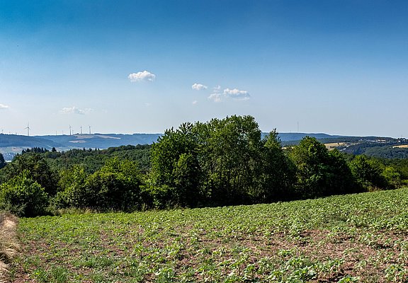 Panoramablick