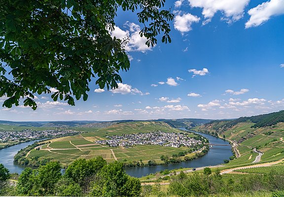 Moselschleife mit Blick auf Trittenheim