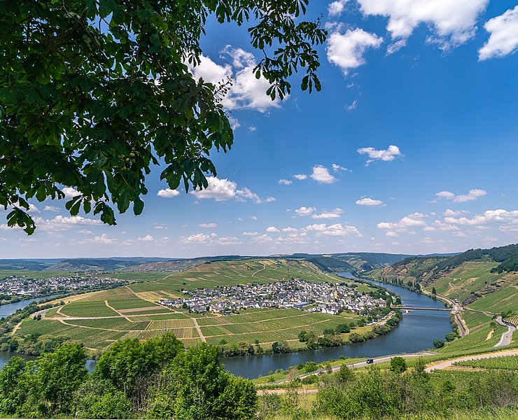 Moselschleife mit Blick auf Trittenheim