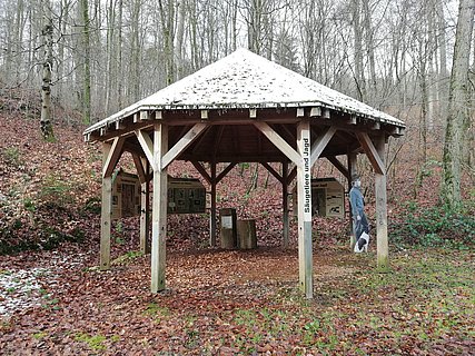 Säugetiere und Jagd (1) Säugetiere und Jagd (1)