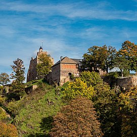 Burganlage Saarburg (3)