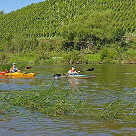 Kanufahren auf der Saar (2)