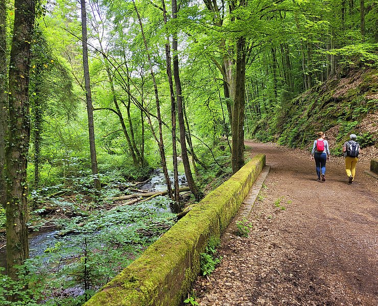 Leukbachtal (2)