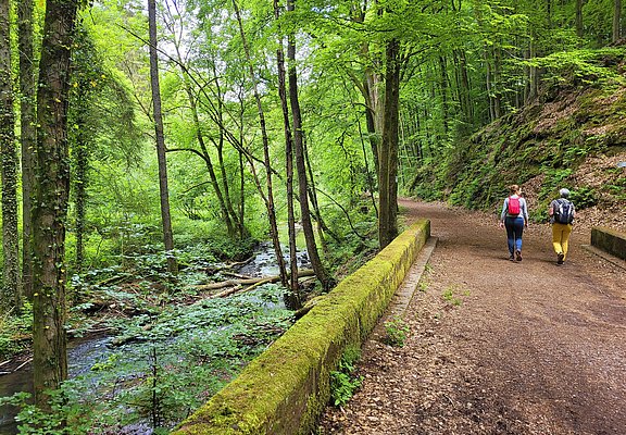 Leukbachtal (2)