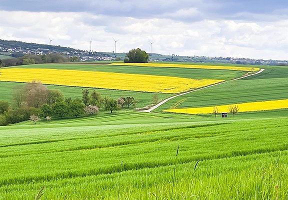 Saargau (02)
