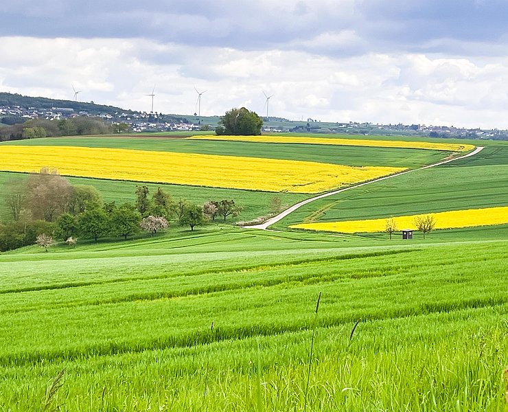 Saargau (02)