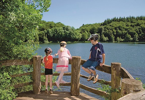 Maare-Mosel-Radweg: Holzmaar