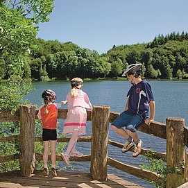 Maare-Mosel-Radweg: Holzmaar