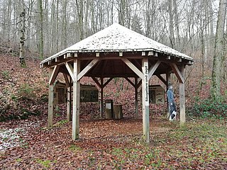 Säugetiere und Jagd (1)
