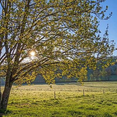 Foto: Saargau (1)