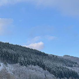 IMG_8164