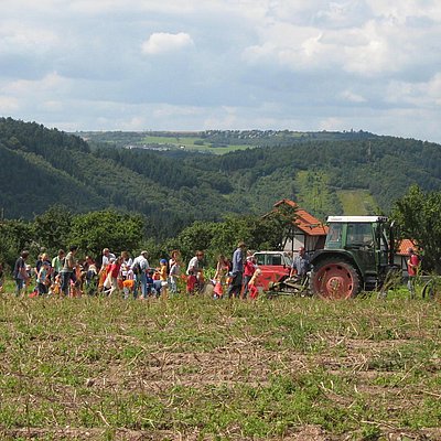 Foto: Weinbergsbahn Serrig (5)