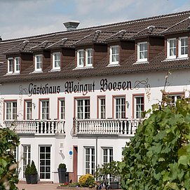 Weingut Boesen Palzem (1)