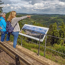 auf dem Moselsteig