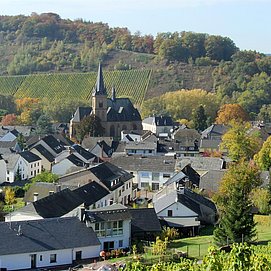 Wiltingen (1)