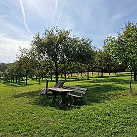 Rastplatz am Aussichtspunkt Kolmet