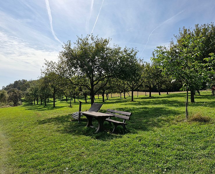 Rastplatz am Aussichtspunkt Kolmet