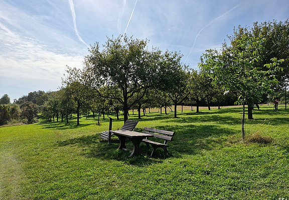 Rastplatz am Aussichtspunkt Kolmet